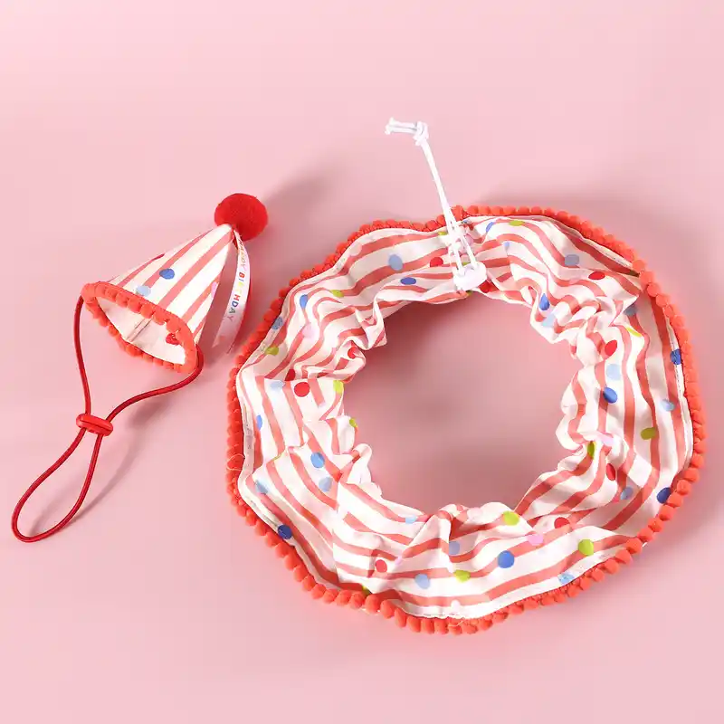 pet-collar-915-1644- (1)